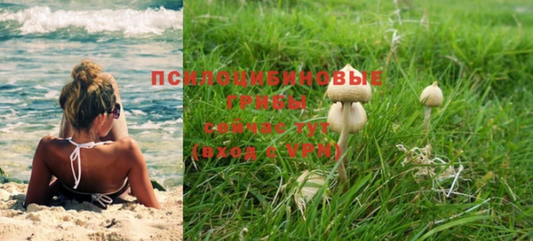 прущие крисы Балабаново