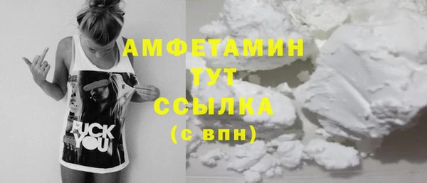 молекула духа Кулебаки