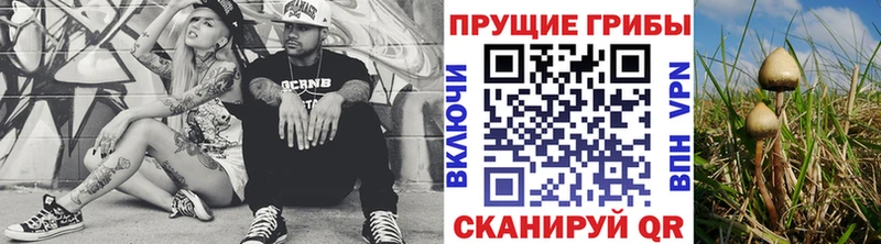 Галлюциногенные грибы Psilocybe  Балахна 